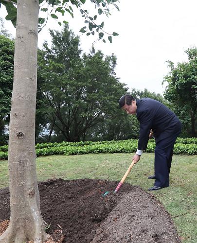 2012年12月7日至11日，習(xí)近平在廣東省考察工作。這是8日上午，習(xí)近平在深圳蓮花山公園種下一棵高山榕樹。新華社記者 蘭紅光 攝