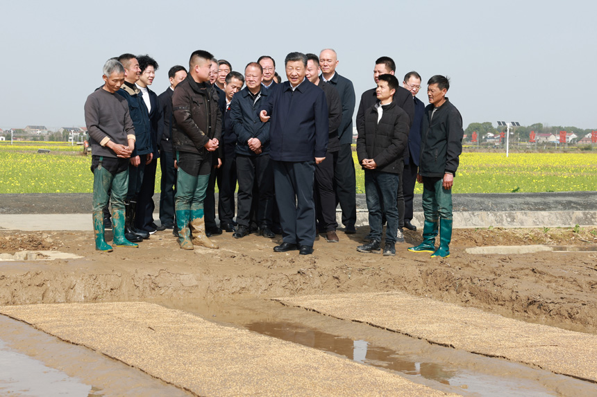 2024年3月18日至21日，中共中央總書記、國(guó)家主席、中央軍委主席習(xí)近平在湖南考察。這是19日下午，習(xí)近平在常德市鼎城區(qū)謝家鋪鎮(zhèn)港中坪村走進(jìn)田間，察看秧苗培育和春耕備耕進(jìn)展。新華社記者 王曄 攝
